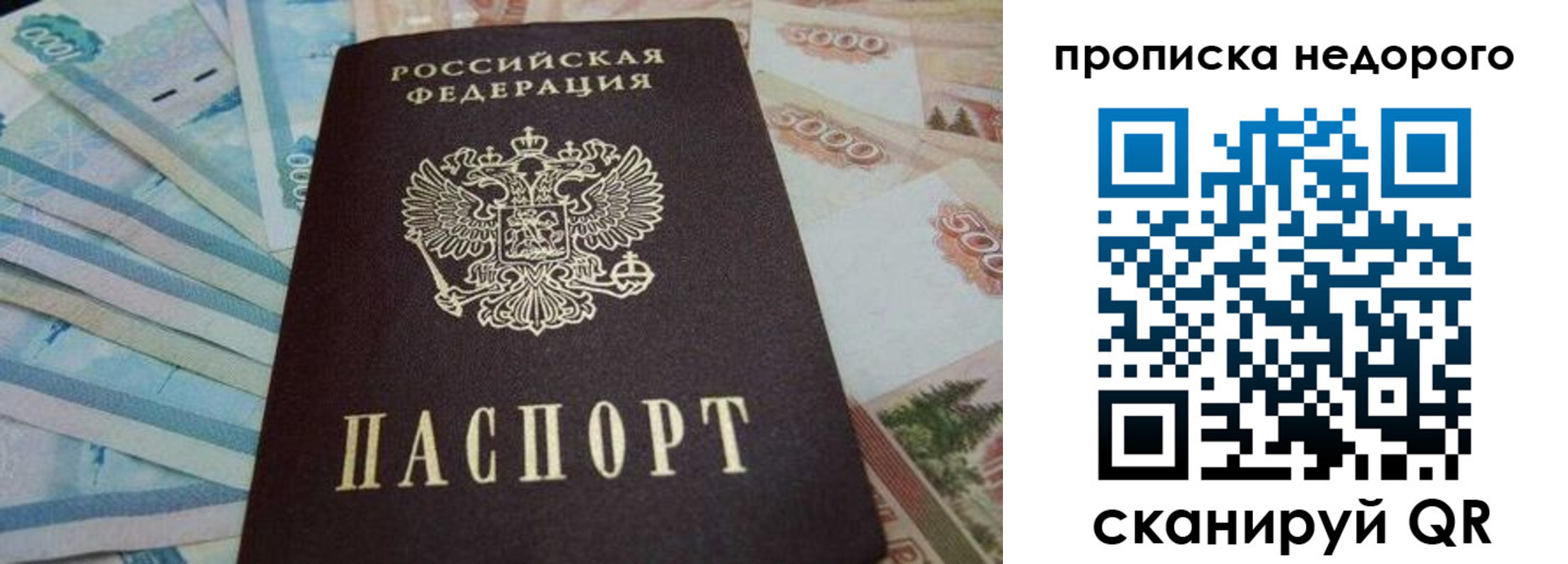 временная регистрация поиск в Белокурихе